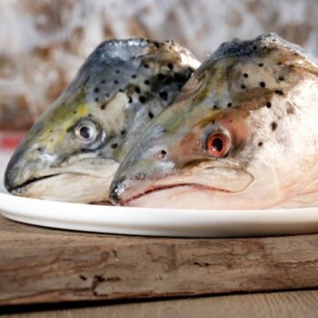 Fisch