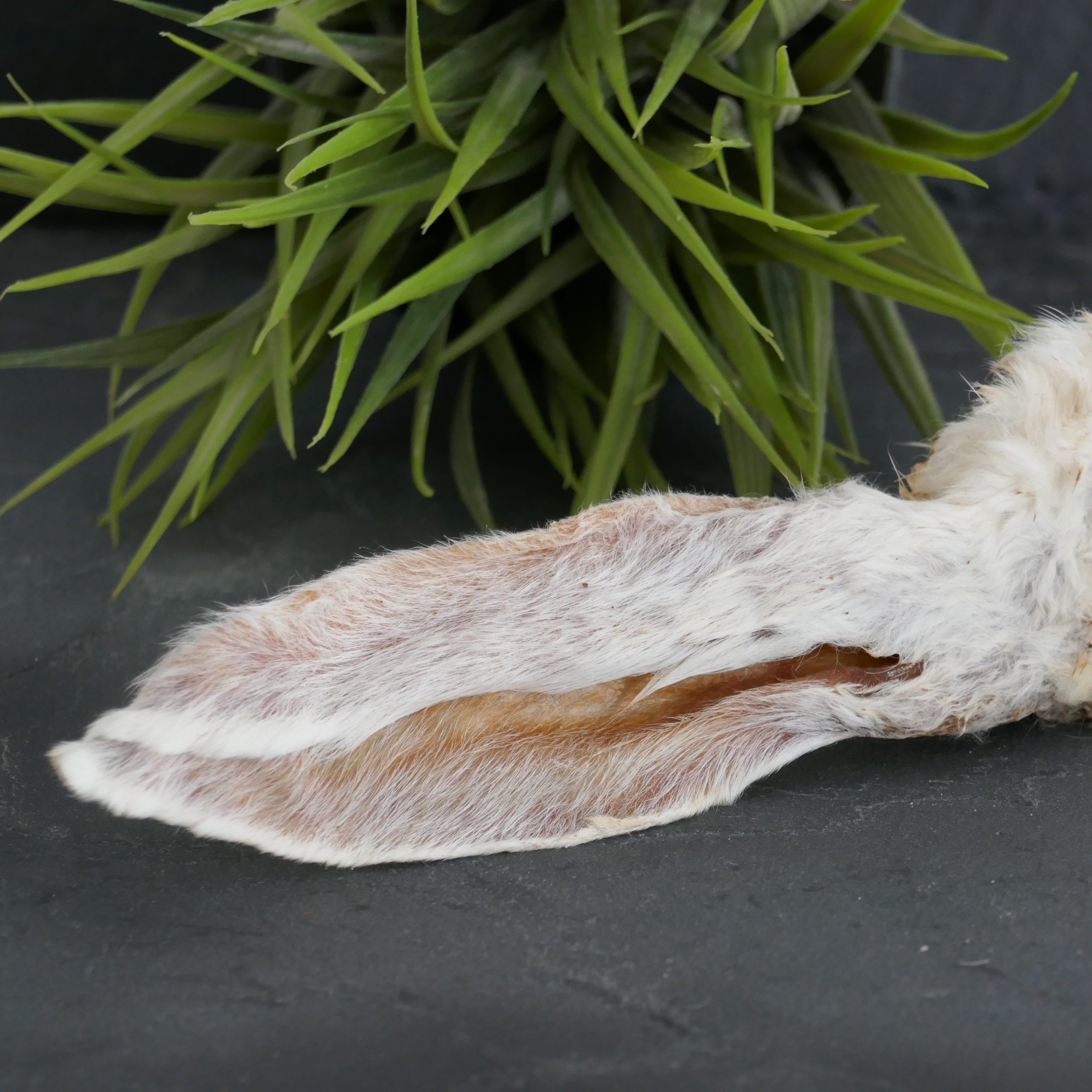 Kaninchenohren mit Fell, 500 g