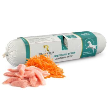 RITZENBERGER Spezialkost Karottensuppe mit Huhn, 2x400 g